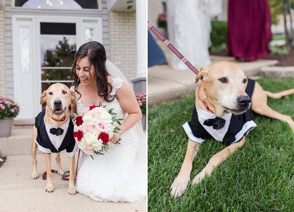  Remember Danielle’s beloved dog Stanley from their engagement session?! Danielle was surprised with a visit from him… in a TUX! 